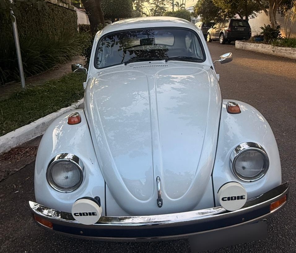 Fusca 1600 1976 a venda | Garage84